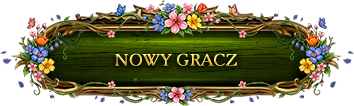 Nowy Gracz