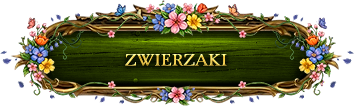 Zwierzaki