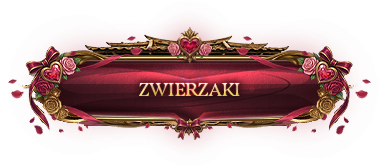 Zwierzaki